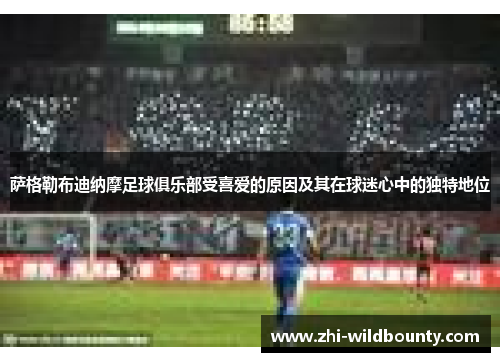 萨格勒布迪纳摩足球俱乐部受喜爱的原因及其在球迷心中的独特地位 萨格勒布迪纳摩足球俱乐部受喜爱的原因及其在球迷心中的独特地位