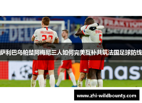 萨利巴乌帕楚阿梅尼三人如何完美互补共筑法国足球防线 萨利巴乌帕楚阿梅尼三人如何完美互补共筑法国足球防线