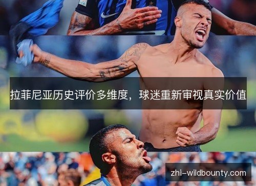 拉菲尼亚历史评价多维度,球迷重新审视真实价值 拉菲尼亚历史评价多维度,球迷重新审视真实价值
