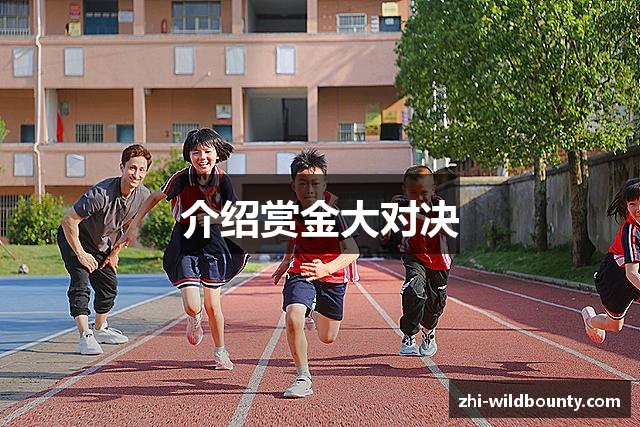 介绍赏金大对决